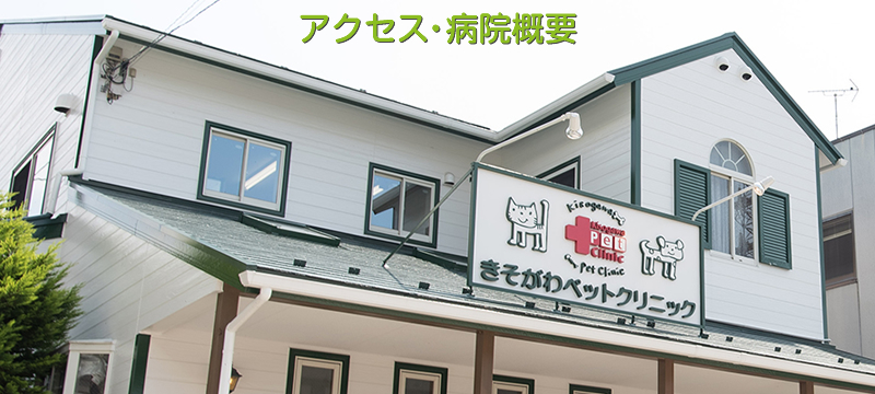 アクセス・病院概要
